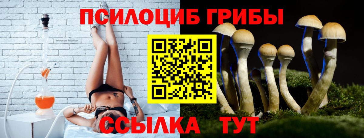 Галлюциногенные грибы Cubensis  Вход с VPN  Узловая 